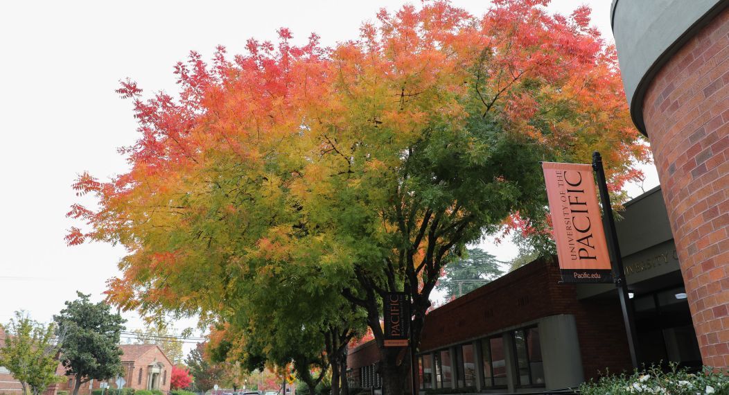 mcgeorge school of law campus, green red and yellow trees